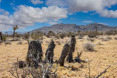 60531 Cielito Drive, Joshua Tree, CA 92252 - Photo 9