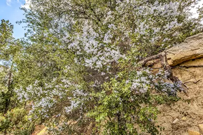 0 Lakeview Drive, Idyllwild, CA 92549 - Photo 17