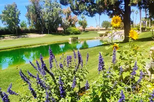 41715 Woodhaven Dr W, Palm Desert, CA 92211 - Photo 23