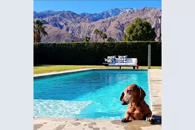 1272 N Riverside Drive, Palm Springs, CA 92264 - Photo 57