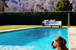 1272 N Riverside Dr, Palm Springs, CA 92264 - Photo 57