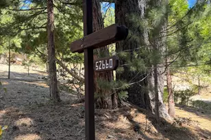 52660 Forest Rte 4S02, Idyllwild, CA 92549 - Photo 75