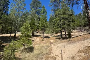 52660 Forest Rte 4S02, Idyllwild, CA 92549 - Photo 71