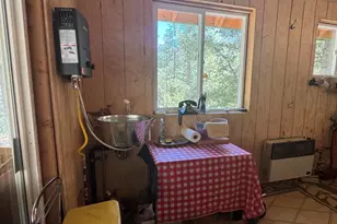 52660 Forest Rte 4S02, Idyllwild, CA 92549 - Photo 35