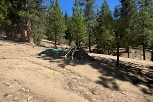 52660 Forest Rte 4S02, Idyllwild, CA 92549 - Photo 67