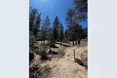 52660 Forest Route 4S02, Idyllwild, CA 92549 - Photo 19
