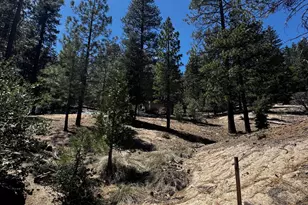 52660 Forest Rte 4S02, Idyllwild, CA 92549 - Photo 19
