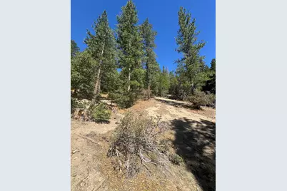 52660 Forest Route 4S02, Idyllwild, CA 92549 - Photo 77
