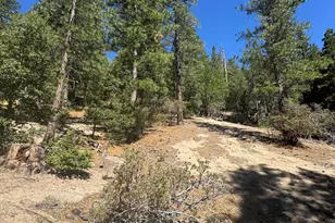 52660 Forest Rte 4S02, Idyllwild, CA 92549 - Photo 77