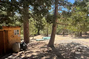 52660 Forest Rte 4S02, Idyllwild, CA 92549 - Photo 21
