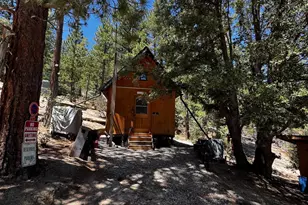 52660 Forest Rte 4S02, Idyllwild, CA 92549 - Photo 11