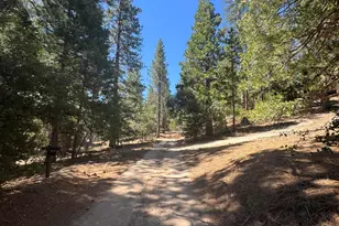 52660 Forest Rte 4S02, Idyllwild, CA 92549 - Photo 69