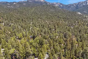 53600 Rocky Way, Idyllwild, CA 92549 - Photo 55
