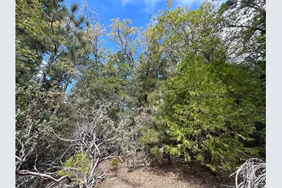 Address Not Available, Idyllwild, CA 92549 - Photo 5