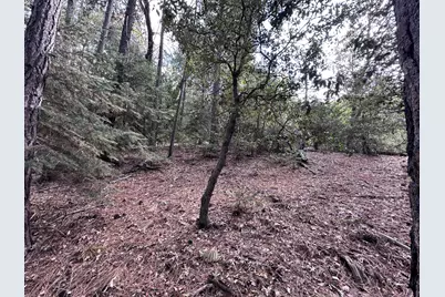 Address Not Available, Idyllwild, CA 92549 - Photo 7