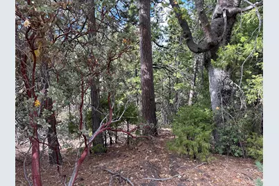 Address Not Available, Idyllwild, CA 92549 - Photo 3