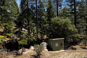 52670 Forest Rte 4S02, Idyllwild, CA 92549 - Photo 29