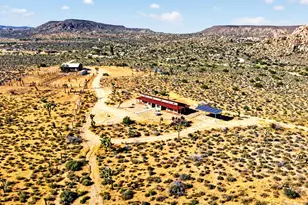 53105 Chia Trail, Pioneertown, CA 92268 - Photo 33