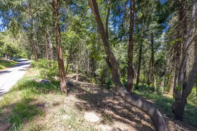 Lot 78 Cedar Pines Drive, Crestline, CA 92325 - Photo 3