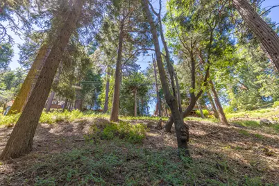 Lot 78 Cedar Pines Drive, Crestline, CA 92325 - Photo 5
