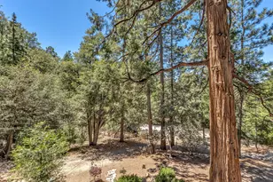 54660 Mactecklewood Ln, Idyllwild, CA 92549 - Photo 57