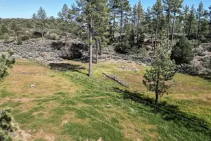 35290 Butterfly Peak Rd, Mountain Center, CA 92561 - Photo 19