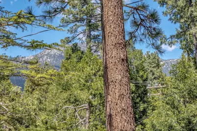 53435 Marian View Drive, Idyllwild, CA 92549 - Photo 61