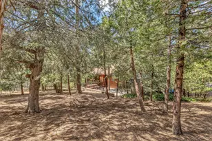 53435 Marian View Dr, Idyllwild, CA 92549 - Photo 57