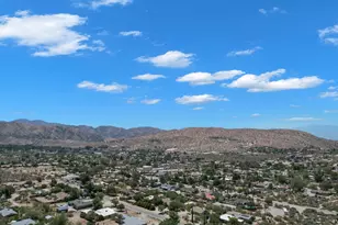 49110 Vista Dr, Morongo Valley, CA 92256 - Photo 39
