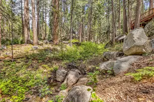 55170 Daryll Rd, Idyllwild, CA 92549 - Photo 19