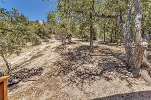 54720 Falling Leaf Dr, Idyllwild, CA 92549 - Photo 45