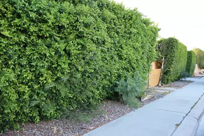 68950 Tortuga Road, Cathedral City, CA 92234 - Photo 5