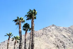 22840 Sterling Ave, Palm Springs, CA 92262 - Photo 21