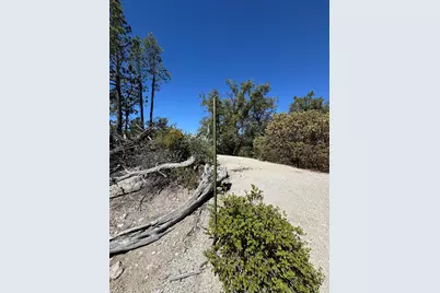 22541 Hwy 243, Idyllwild, CA 92549 - Photo 59