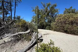 22541 Hwy 243, Idyllwild, CA 92549 - Photo 59