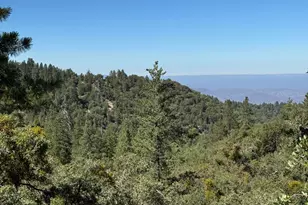 22541 Hwy 243, Idyllwild, CA 92549 - Photo 55