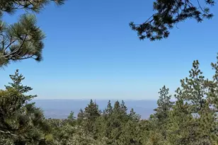 22541 Hwy 243, Idyllwild, CA 92549 - Photo 53