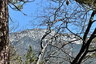 53226 Overlook Dr, Idyllwild, CA 92549 - Photo 7