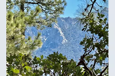 53226 Overlook Drive, Idyllwild, CA 92549 - Photo 3