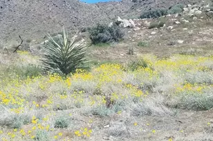 57795 Santa Barbara Dr, Yucca Valley, CA 92284 - Photo 15