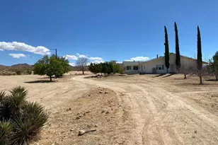 5056 Lazy Ln, Johnson Valley, CA 92285 - Photo 3