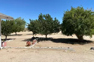 5056 Lazy Ln, Johnson Valley, CA 92285 - Photo 15