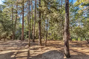 52402 Pine Ridge Rd, Idyllwild, CA 92549 - Photo 65
