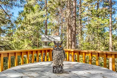 52402 Pine Ridge Road, Idyllwild, CA 92549 - Photo 45