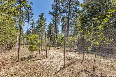 54425 Jameson Drive, Idyllwild, CA 92549 - Photo 87