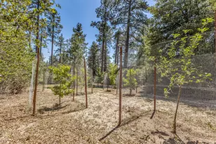 54425 Jameson Dr, Idyllwild, CA 92549 - Photo 87