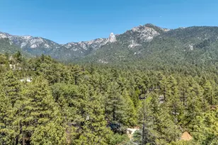 54425 Jameson Dr, Idyllwild, CA 92549 - Photo 5