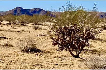 407 California Avenue, Joshua Tree, CA 92252 - Photo 21