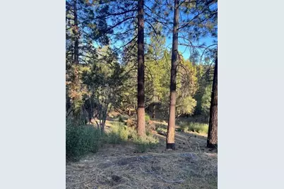 545 Division Drive, Big Bear City, CA 92314 - Photo 3