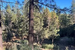 545 Division Dr, Big Bear City, CA 92314 - Photo 1